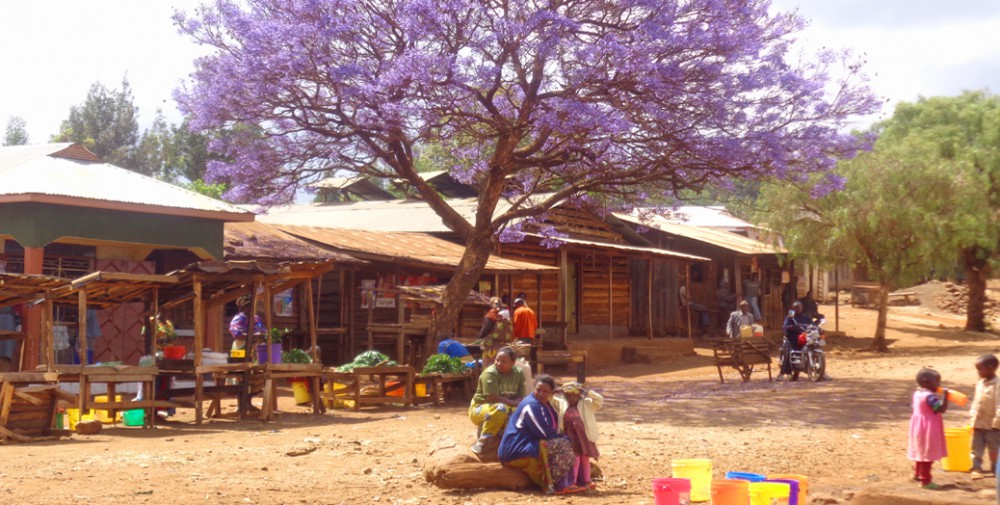 Tanzania colorful village