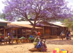Tanzania colorful village